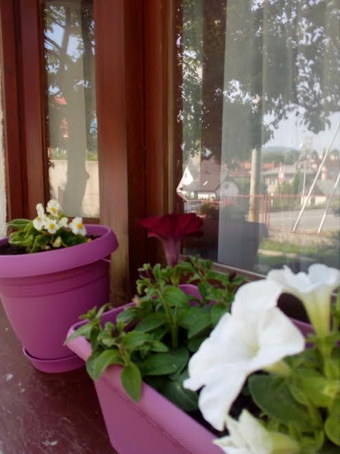 Guest House Olbina Korenica Ngoại thất bức ảnh